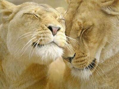 _Paisajes_'s tweet photo. Te quiero por encima de todo. https://t.co/zyASN52LTw