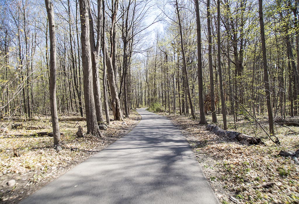 Trails Millage public input mtg tonight at 6:30 at the Foster Comm Ctr, 200 N Foster, Lansing. We need your input!