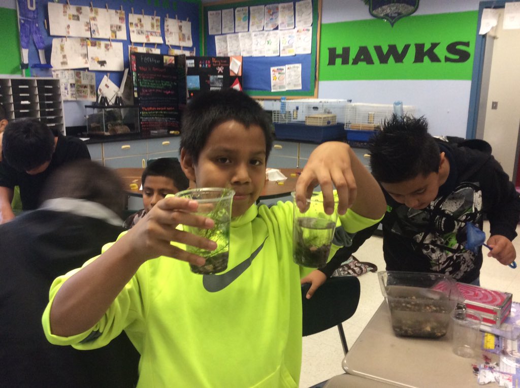 Laura_Catlin1's tweet photo. Big day! The fish are leaving their Eco-columns! Good luck little fishes! #schoolofheroes #MSEwahluke https://t.co/2At90LuvA2