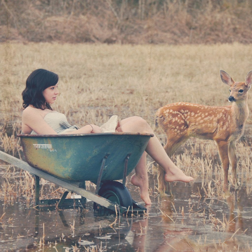 prgrph's tweet photo. What will this father discover in "A Country Where You Once Lived"-Robin Black https://t.co/El8u5XyEkO Marissa Bolen https://t.co/kCVUkXcggZ