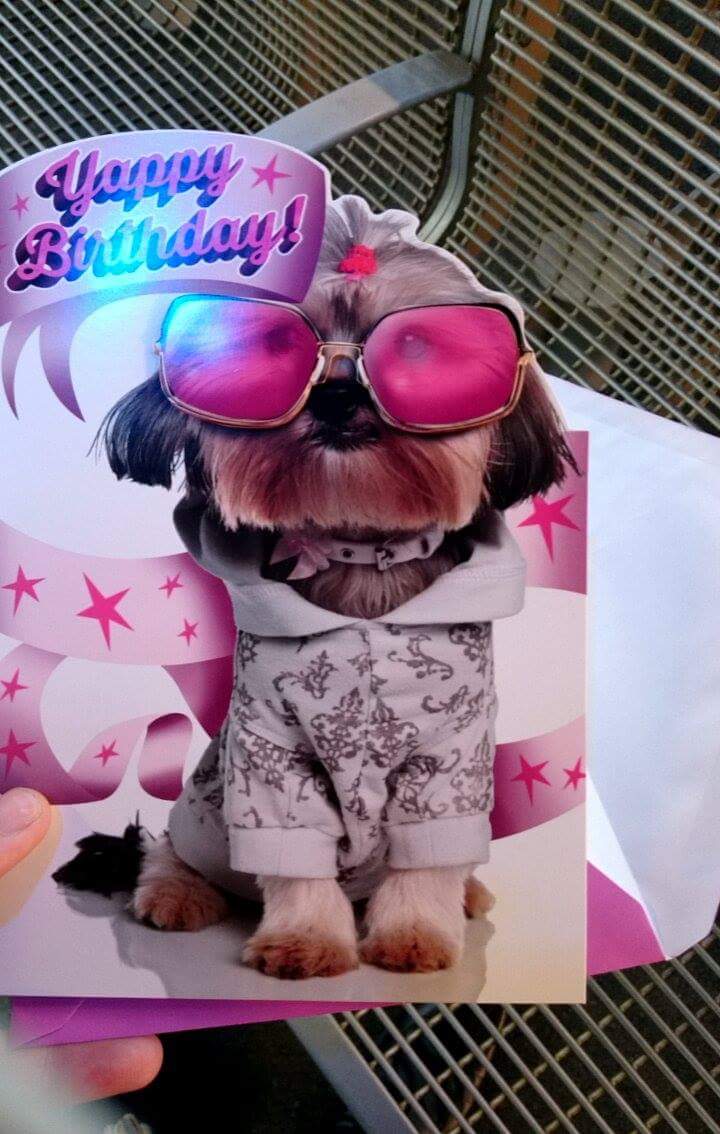 Connor1_11's tweet photo. Thought i'd buy Joe a card for his birthday. I was suprised when he said he liked it. https://t.co/c1lhILBfqi