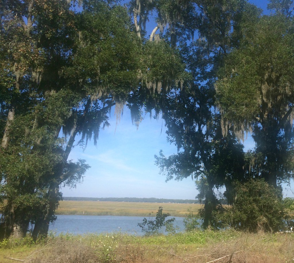 DIG presents Meridian assisted living facility in Beaufort SC to Design Review Board.  APPROVED!