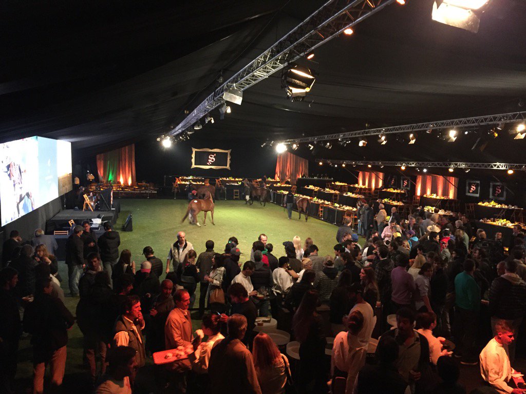 Pololine's tweet photo. Doña Sofía Horse Auction https://t.co/TH741p28Yg
