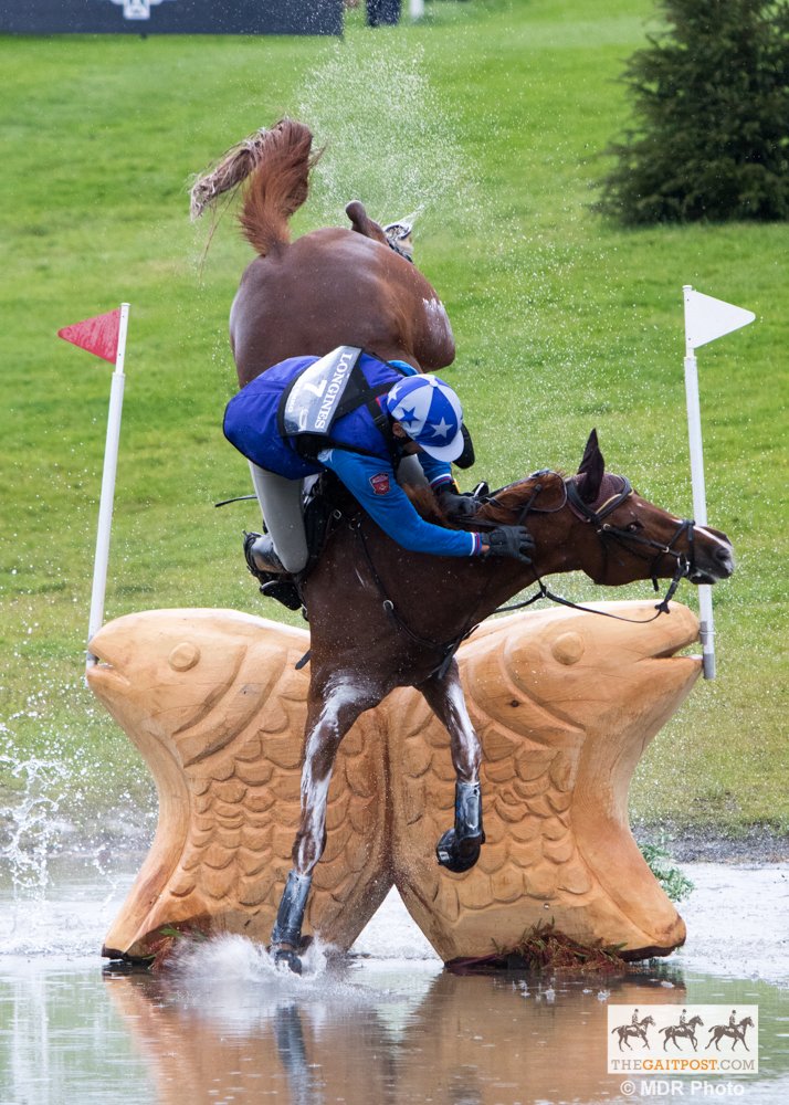 thegaitpost's tweet photo. PLS RT: The Independent Int Cross Country Safety Conference needs your help #20euros https://t.co/7WEf7exhfl https://t.co/NPD3LFYMVm
