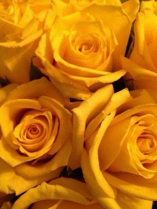 JustifiedBlu's tweet image. It's my 10th Sigmaversary! #SGRho93 #10Pearls2Rubies #Fall05