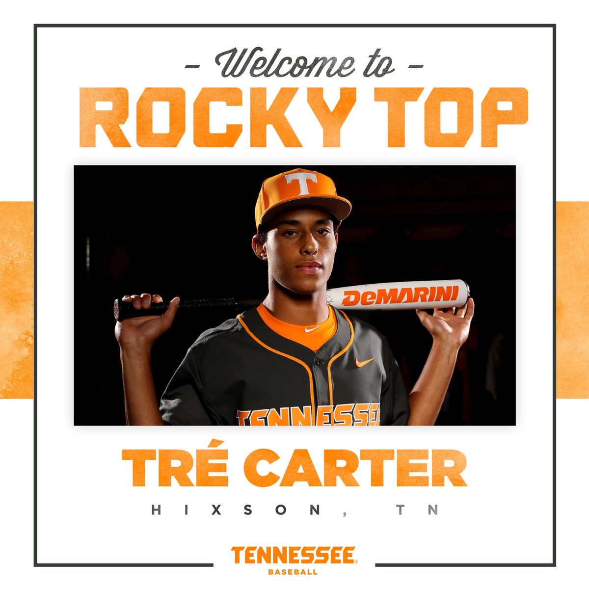 Tennessee Baseball tweet media