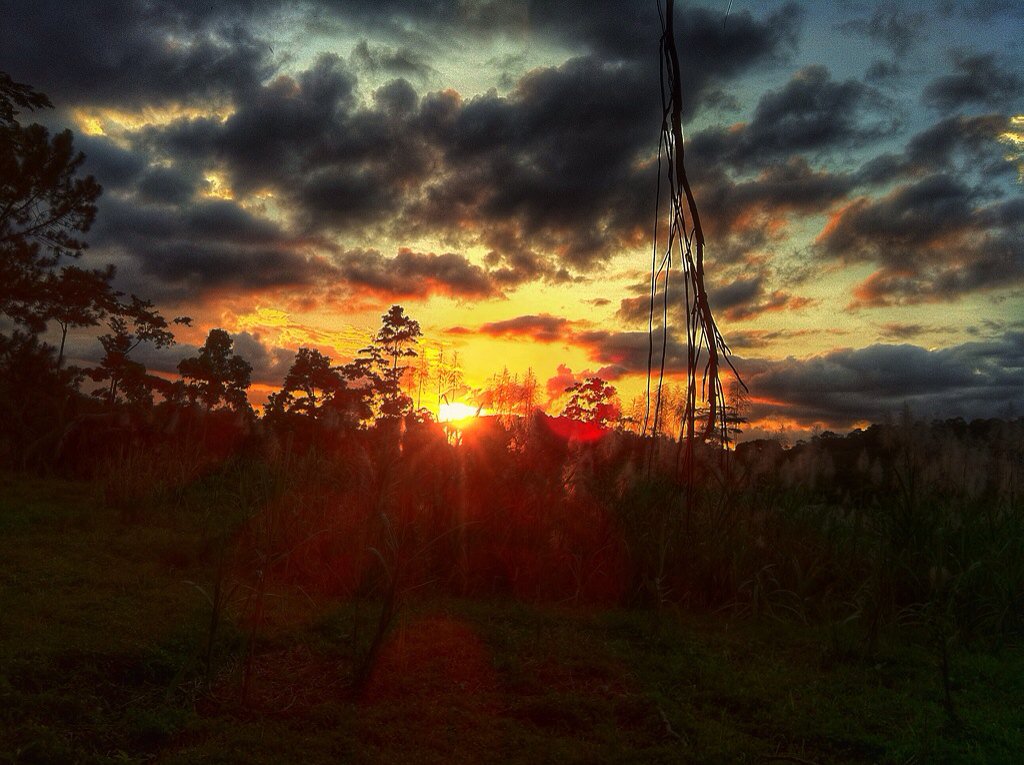 hillron's tweet photo. Otro atardecer en el trópico húmedo de Nicaragua. #atardecer #tropicohumedo #sunset #humidtropics #NuevaGuinea https://t.co/Nw57A2BHYa
