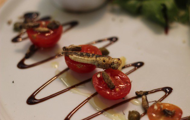 Bugible's tweet photo. GRUB’S UP AT THE UK’S FIRST INSECT RESTAURANT #YUM #entomophagy https://t.co/ZZohA6eV4N https://t.co/DdZPF6YkzH