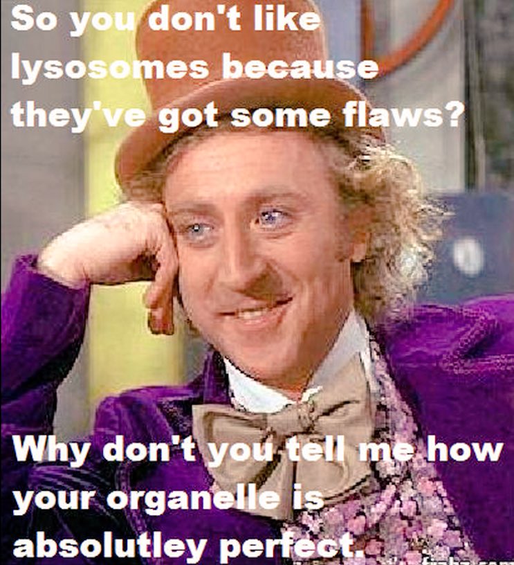 LyosomePres's tweet photo. #organellewars #votelysosomeforpres. #mistakefixer @TallBiology https://t.co/5vk8RJd1nv