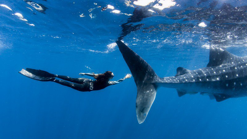 outsidemagazine's tweet image. All the travel, fun, and affiliated delights you can (and should) cram into a single year: bit.ly/1kHIbUV