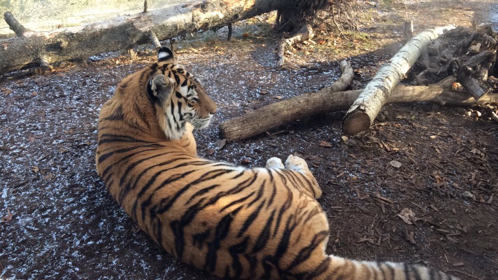 thenhehir's tweet photo. #VICscience @MrDyer1 @mrkagel https://t.co/E440RjTFkd
