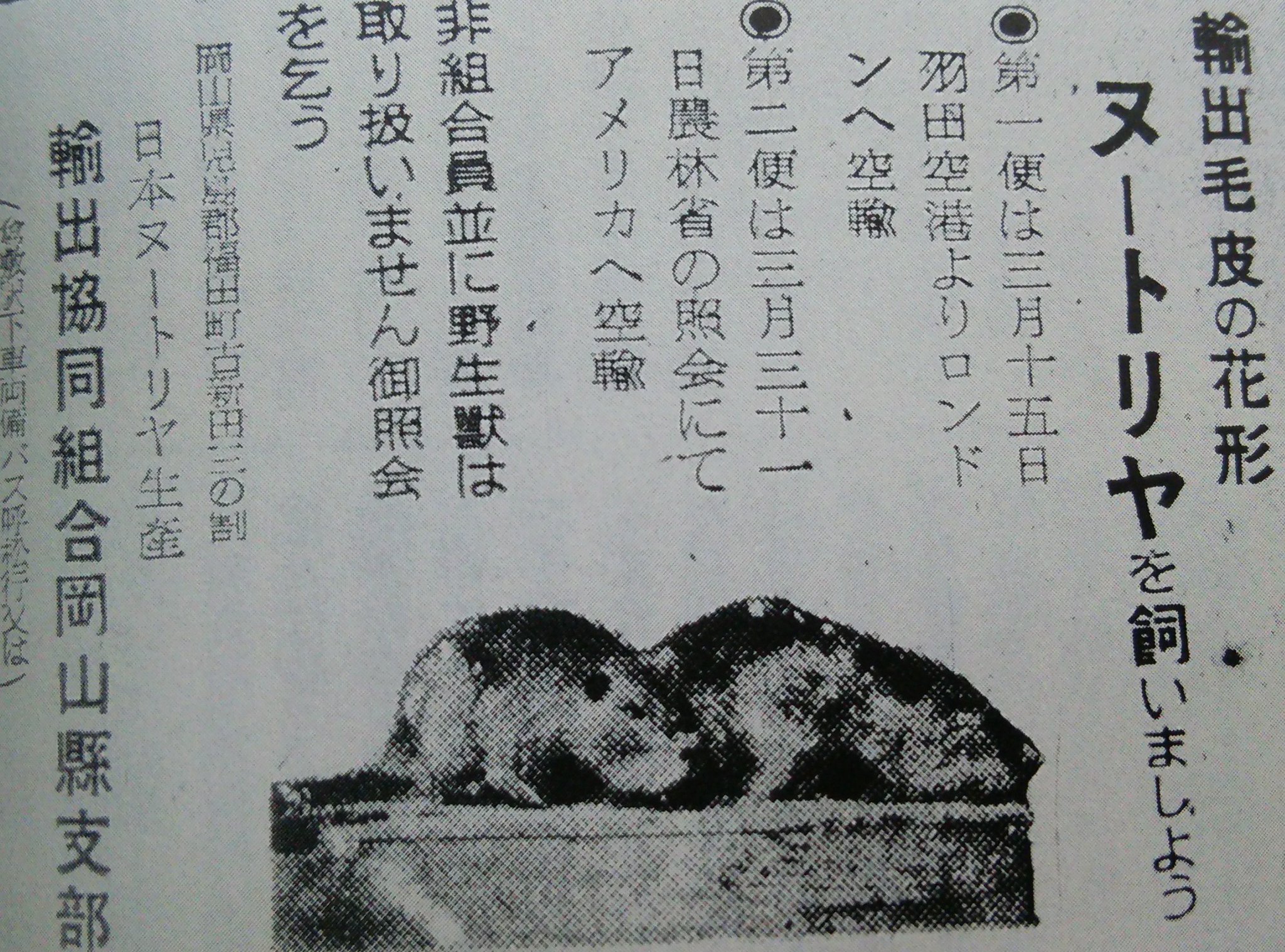 ヌートリヤ （岡山の街角から 地名の由来のWEBサイト on X