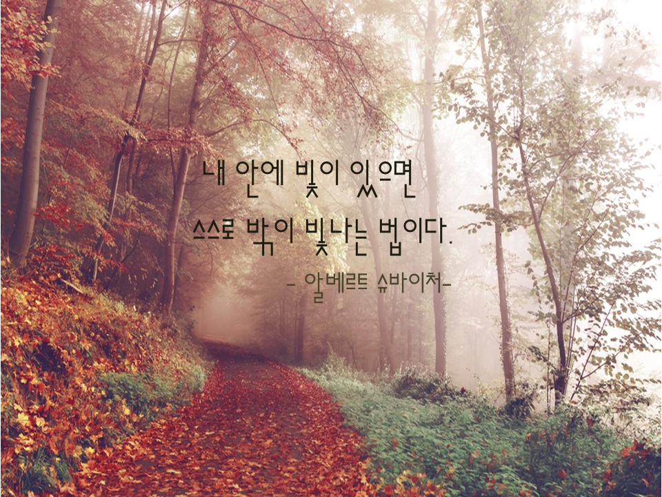 #내안에 비치 있으면 스스로 밖이 빛나는 법이다.(알베르트슈바이처) 
#커리어넷은 당신의 미래를 응원합니다. 
#커리어넷 #좋은글귀 #알베르트 슈바이처