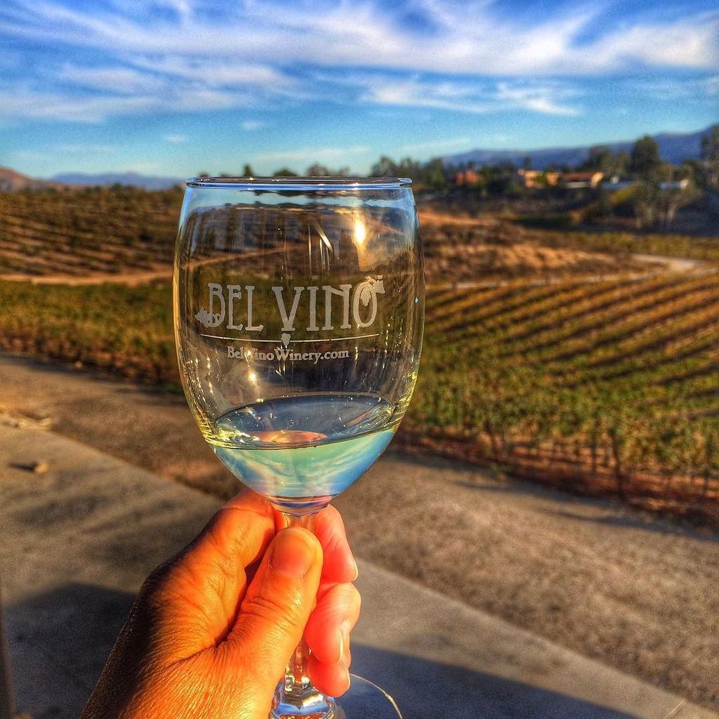 TravelWell4Less's tweet photo. Sipping a Sauvignon Blanc in the #california sun @belvinowinery with @visitsjv #VisitSJC https://t.co/xNeQGLAywP https://t.co/pufDySlXP6