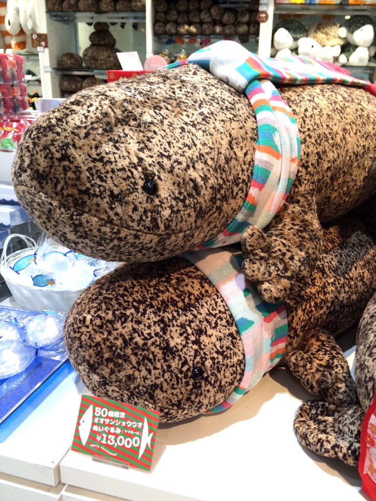 京都水族館【公式】 on Twitter: "50個限定マフラー付きオオサンショウウオぬいぐるみ発売まもなく‼︎ミュージアムショップではすでに ... - CTpwrMgUcAAofTA