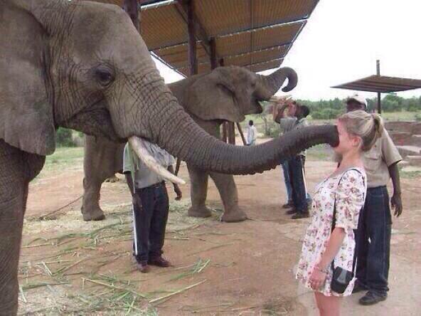 StumblerVideos's tweet photo. When someone wont shut up and youre just like shhhh https://t.co/kr4ccu0zUn