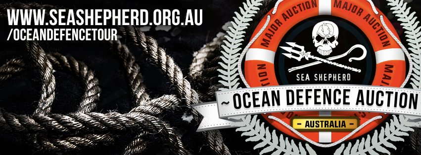 M/V Sam Simon tweet media