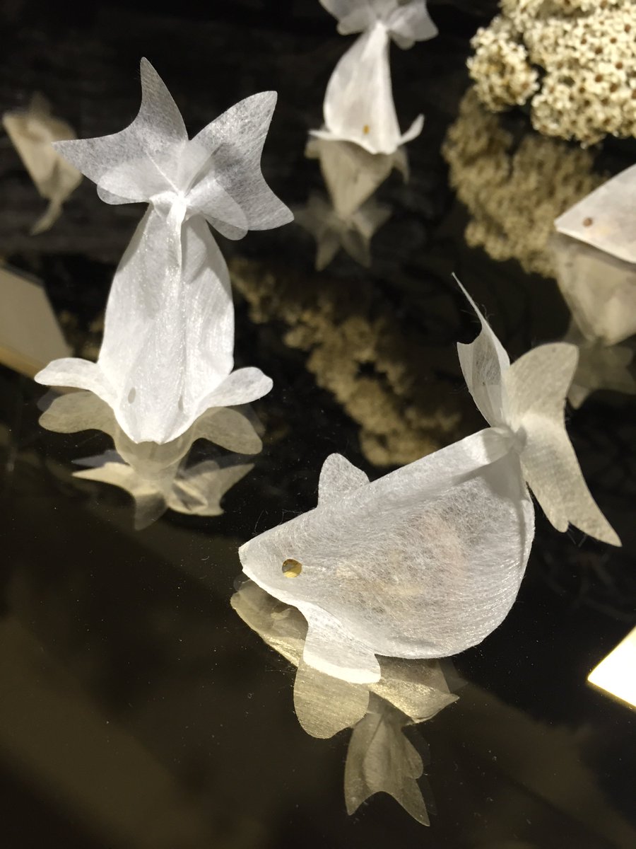 古川未鈴 台湾の金魚ちゃんティーバッグのお店 Charm Villa にいってきたー 遠かったけど欲しかったから買えて嬉しい 金魚かわいい ヮ T Co 16ou6lasqb 古川未鈴 台湾の金魚ちゃんティーバッグのお店 Charm Villa にいってきたー 遠かったけど欲しかったから買えて嬉しい 金魚かわいい ヮ T Co 16ou6lasqb