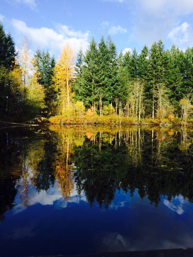 klahanielive's tweet photo. Beautiful Yellow Lake in Klahanie😎#yellowlake @sammamishlife @SammamishReview @issaquahpress https://t.co/q2O0bXATfg