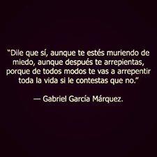 PoeticaAccion_'s tweet photo. Grande https://t.co/X0fKHCic00