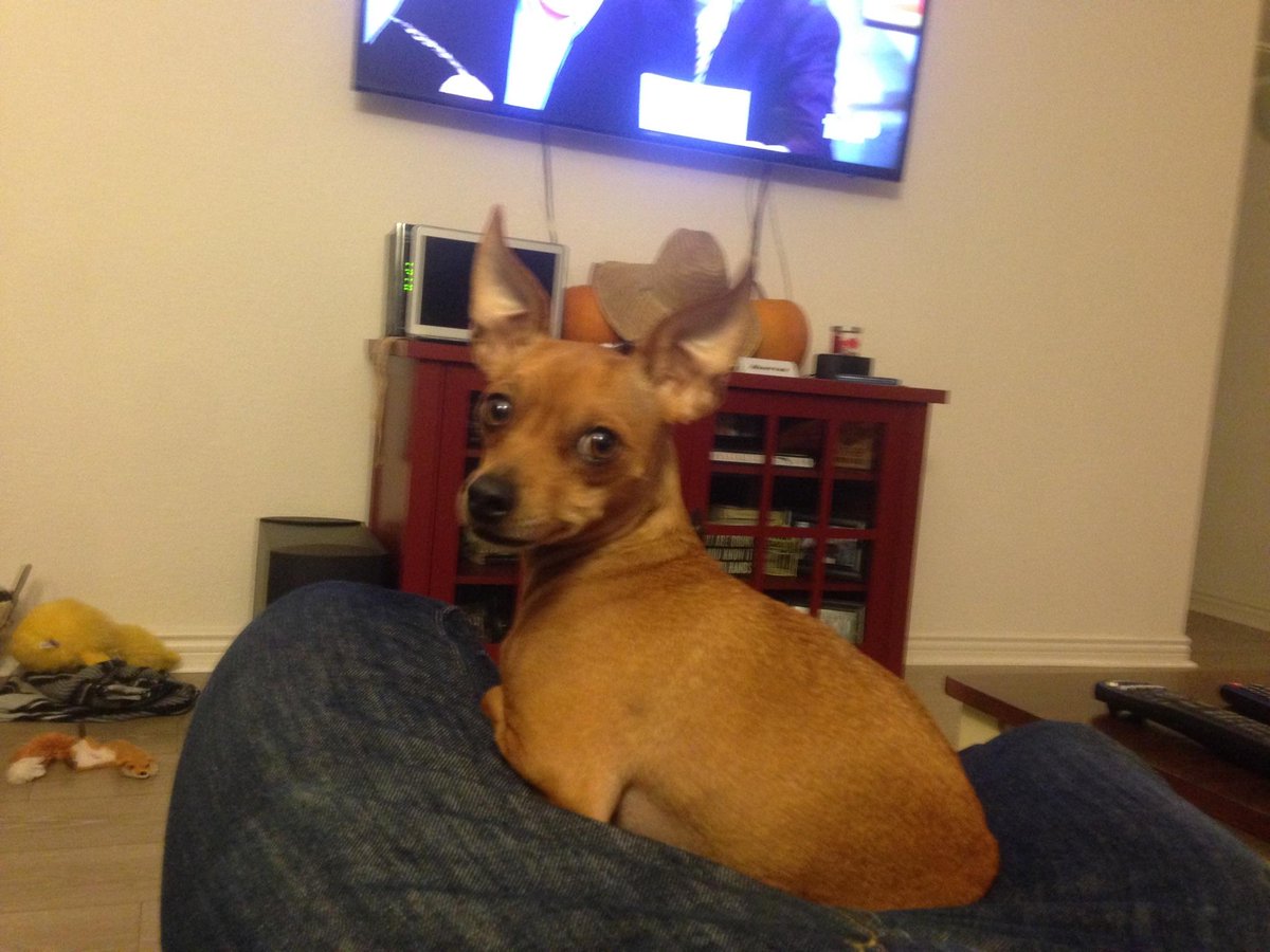 LilyLittleCute's tweet image. 10 minutes into Netflix and Chill and I give him this look. #smallbladder