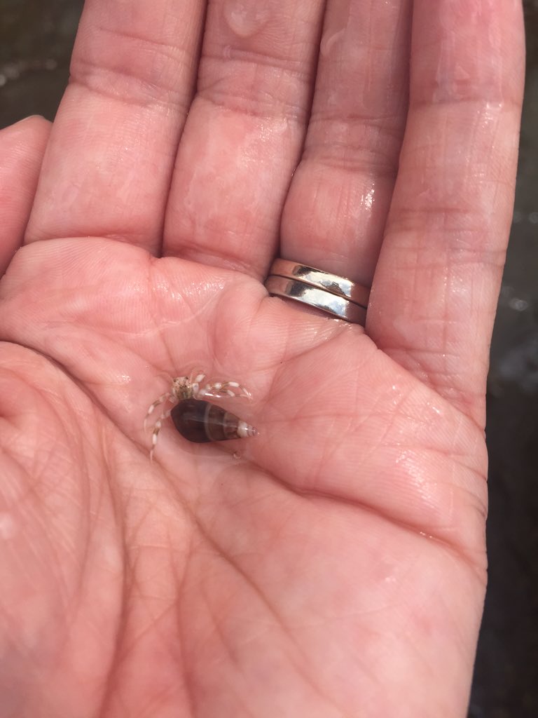 chrisnmellyr's tweet photo. Who needs to pay for an aquarium visit?  #spapschallenge2015 https://t.co/2LZfC9RbNV