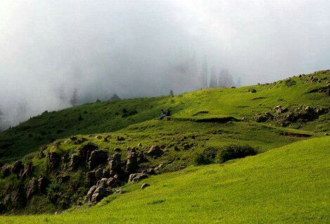 SanamZafran's tweet photo. Sm stunning cloudy views f #ToliPeer located n #Rawlakot #District #PonchAzadKahmir #BeautifulPakistan #AJKTourism https://t.co/L4GgFk4mAk