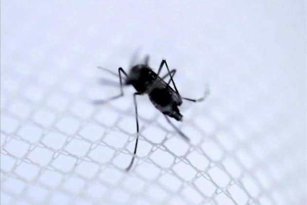 EP_Mundo's tweet photo. Confirman el primer brote del virus del Zika en el Caribe https://t.co/Dfiz5Y3WUg https://t.co/yt4Wgw8TzA