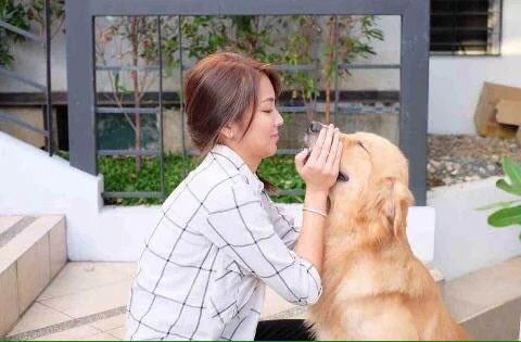 UniqueKathNiels's tweet photo. Awww aw! Arf! Arf! #PSYBagongMundo -fire
https://t.co/8MxjSoJTQ3