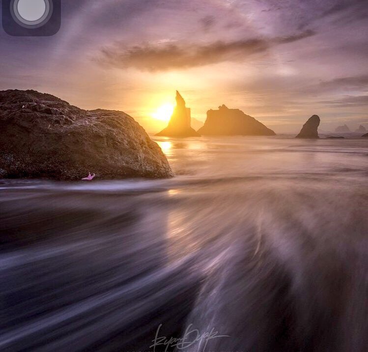 NatureHighDef's tweet photo. Bandon, Oregon https://t.co/WxIWjNRCie