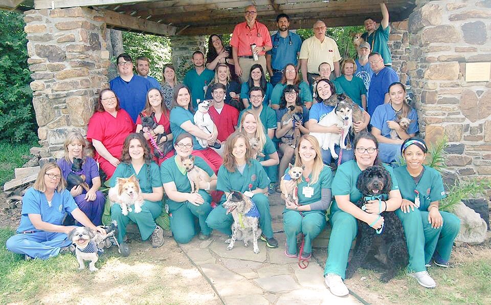 Wedington Animal Hospital (@WedingtonAnimal) / Twitter Wedington Animal Hospital (@WedingtonAnimal) / Twitter