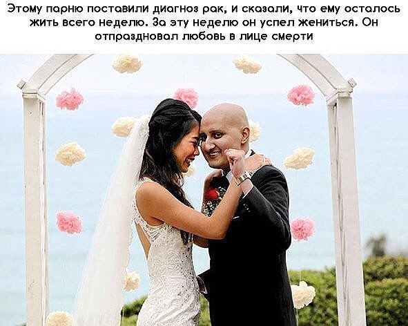 Марина L. (@lytovmarina) on Twitter photo 