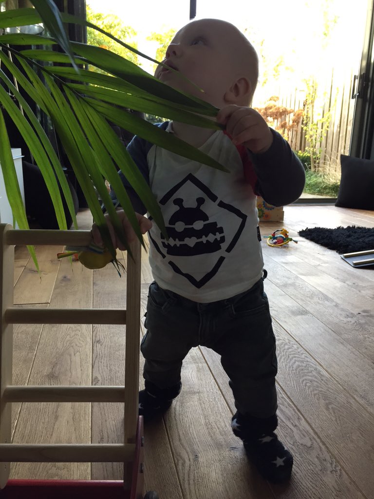 _Mama_Joe's tweet image. "Deze moet toch ook mee naar Kees van Hondt, mama?"  @Rapid_Razor_Bob #ll31 #lowlands #sleepiswaste