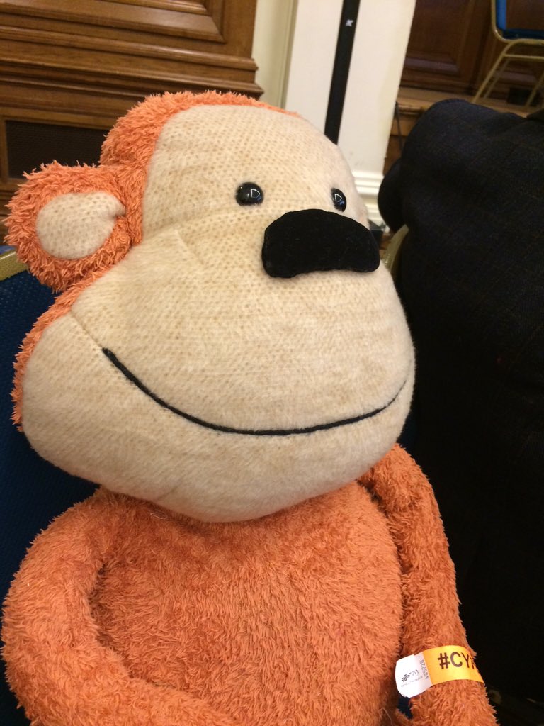 Monkeywellbeing's tweet photo. '#healthliteracy is so important, Helen and Monkey are doing fabulous work' @KathEvans2 #cypexp https://t.co/kTpziSgxL0