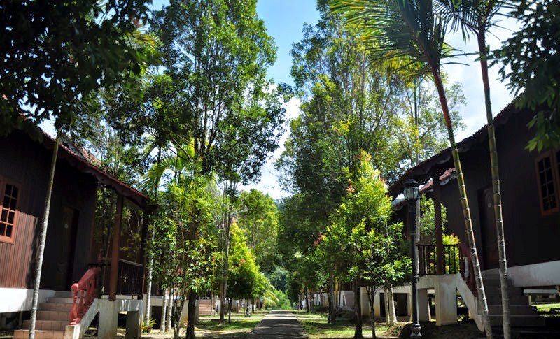 xcaperesort's tweet photo. Xcape Resort ,Taman Negara:)

Click https://t.co/0H2RSSOv55 for more information https://t.co/ZeHIRytGiv