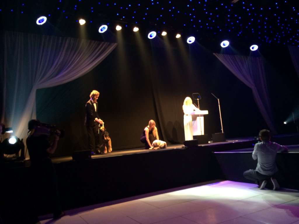 marcthevet's tweet photo. #ff @TheDogCottageCo Thanks for inviting me to @BDCH's #collarsandcoats ball last night brilliant evening :) #adopt https://t.co/dnhxmsp28O