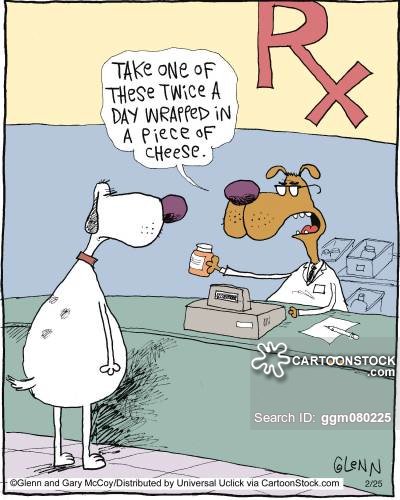 alldaychemist_'s tweet photo. Yes. Even a mouse needs medicine once in awhile:) https://t.co/aLIfsP5aDA