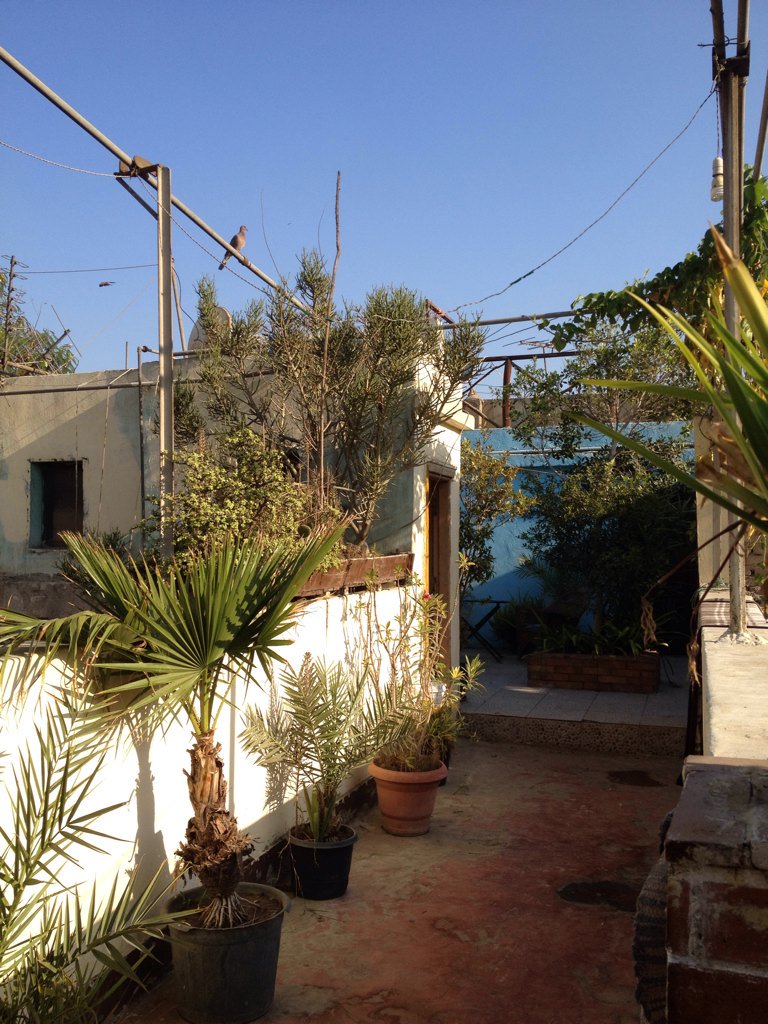 _My_Vacations_'s tweet photo. Out for a pyramid orgy. A beautiful morning at the Dahab hostel in Cairo. https://t.co/kgZfOTAVzK