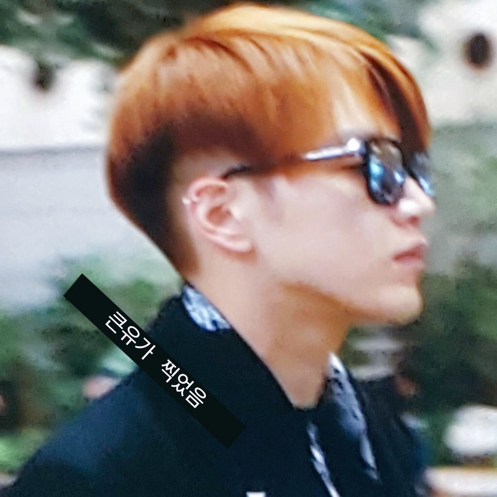 埋め込み画像への固定リンク