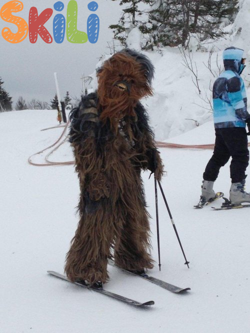 skiLi_be's tweet photo. Geniet van het weekend! Als je ooit gaat skiën, contacteer ons gerust. Zo schrik je niemand af op de piste. https://t.co/ebGPBWCga7