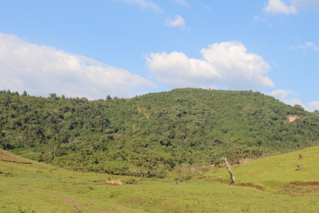 LAFRECProject's tweet photo. #LAFREC in the news: @REMA_Rwanda Seeks to Restore Highly Degraded #Gishwati-#Mukura Forest https://t.co/6vHkJgxPqw https://t.co/PQJU42SSHL
