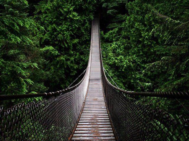 DestinationMeru's tweet photo. A path towards s beautiful destination https://t.co/2wfN7zApVl