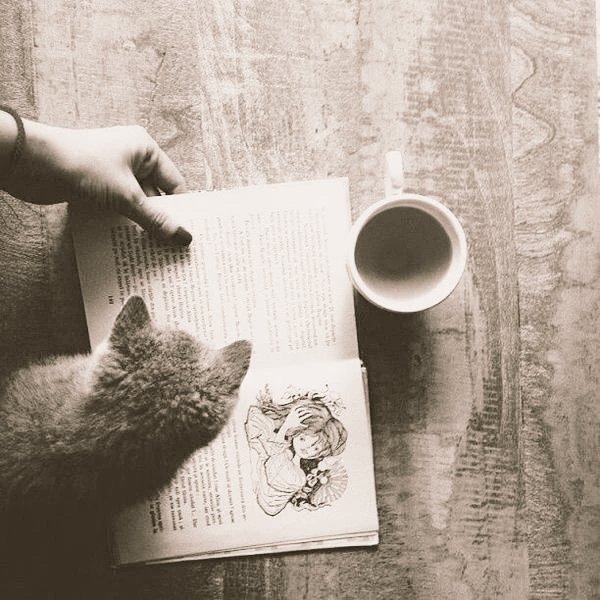 mlikesgn's tweet photo. İki ömrüm olsun isterdim; biri yaşamak, diğeri okumak için.      

Goethe .. https://t.co/nZ2uRDd8MR