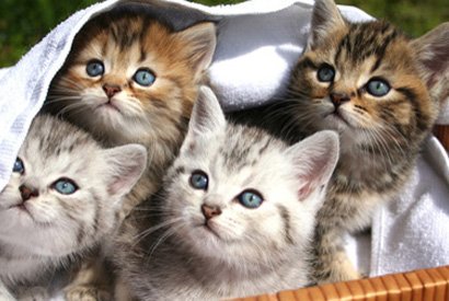 Julie Lefevre Joyeux Anniversaire Auroreberge Notre Maman Teamchaton Gentillesse T Co 8nt1np2xl5 Julie Lefevre Joyeux Anniversaire Auroreberge Notre Maman Teamchaton Gentillesse T Co 8nt1np2xl5