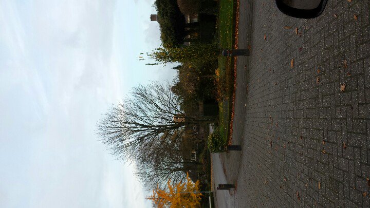 Europrofs_NL's tweet photo. De molen wordt geplaatst in kootwijkerbroek. #molen #kwb https://t.co/VmF39W706d