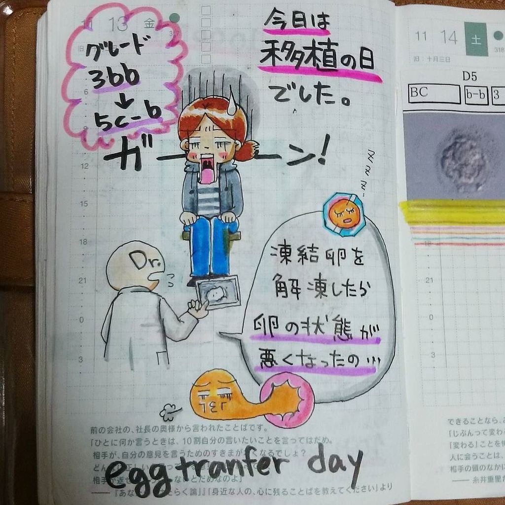 ルポ漫画家 赤星ポテ子 V Twitter 移植後 安静している時間に絵日記を描いていました Eggtransfer Day 詳細は後ほどブログにて ほぼ日手帳 ほぼ日 妊活 べビ待ち 二人目不妊 移植周期 T Co Iyj2j9zsxw T Co 6tkfjmfj8j