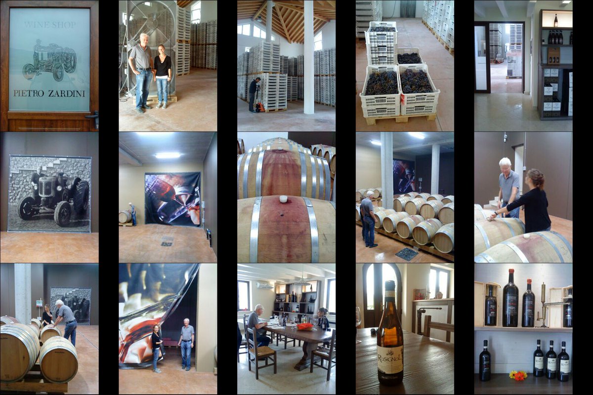 Bacchus Cellar (Bacchus_Cellar) Twitter