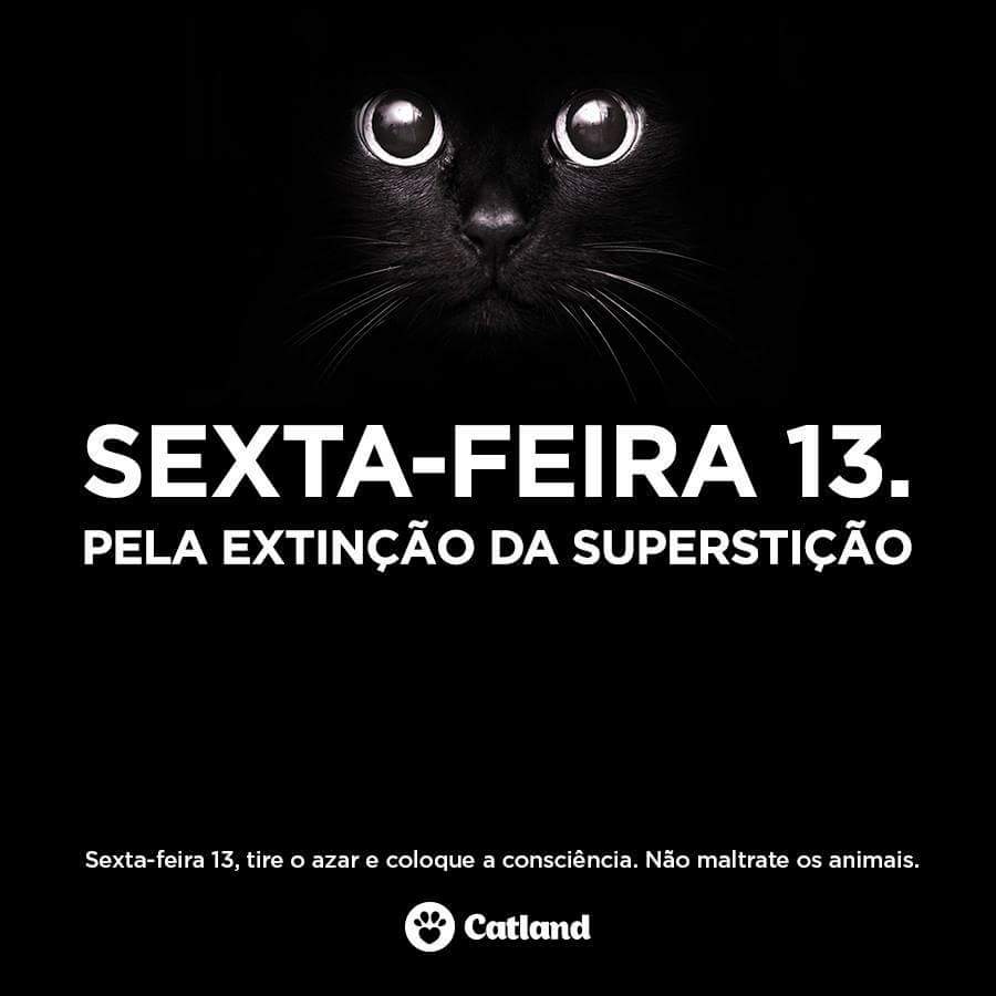 100+] Imagens De Dog Meme | Wallpapers.com, image size:900x900