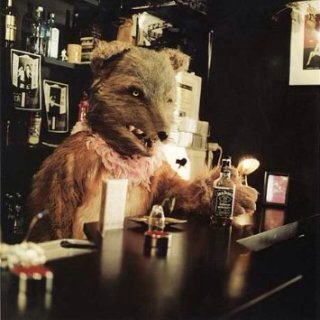 遠藤薫 Kaori Endo ジョン 犬 ジョンは犬です 足踏みオルガンの犬 オオカミ男ではありません 女の子です よく唄う犬です 占いで生計をたてられるほどよく当てる犬です パレドキョートではうたを唄ったり 占ったりします パレドキョート