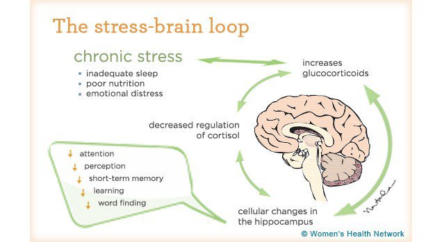 AlexWiskin's tweet photo. How to Be Less Stressed in Everyday Life https://t.co/BZLXA4u5vz https://t.co/gHzewLA8h9